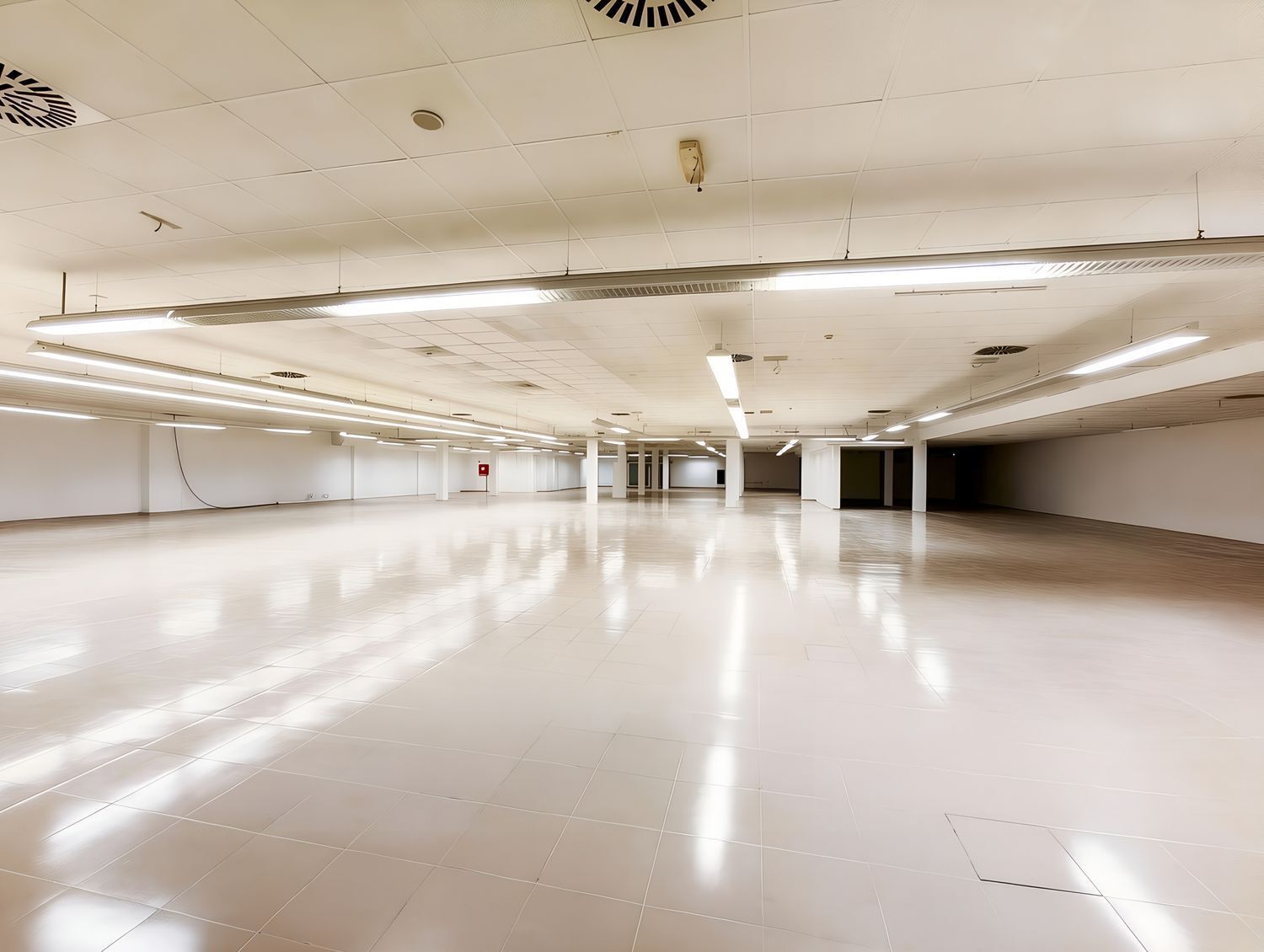 Negocios-Venta-Las Palmas de Gran Canaria-2417671-Foto-5