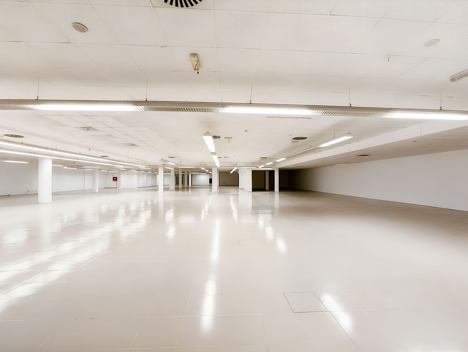 Negocios-Venta-Las Palmas de Gran Canaria-2417671-Foto-6
