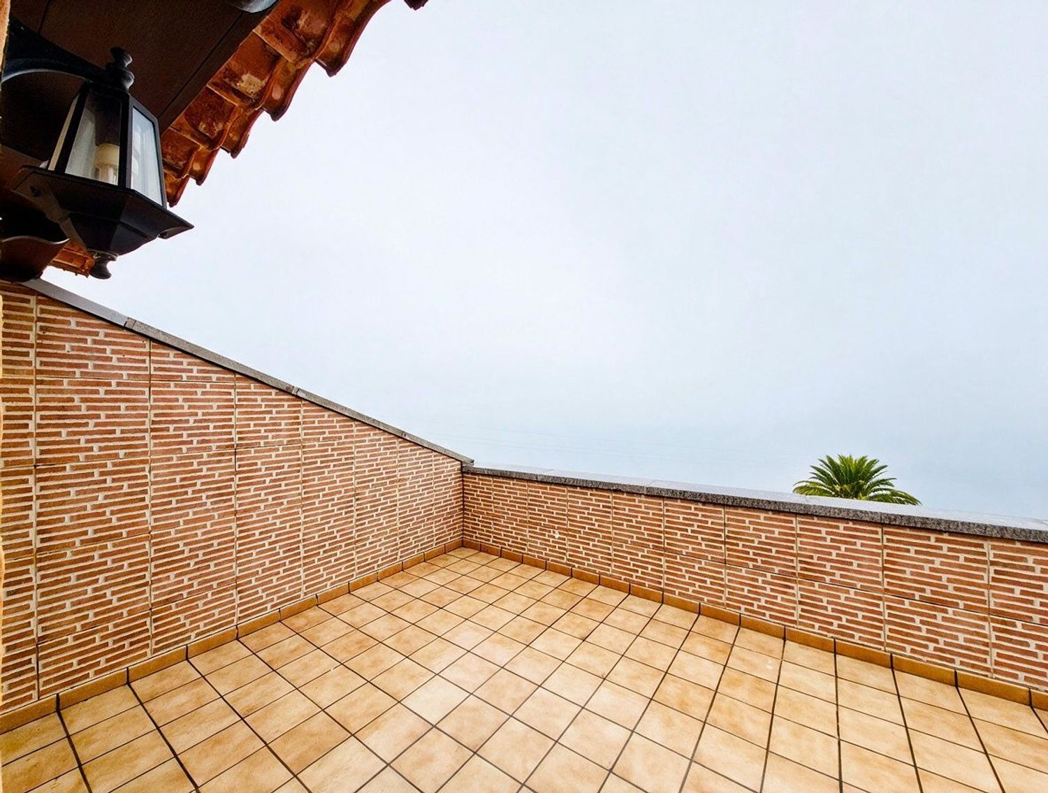 Casas o chalets-Venta-Arucas-2417662-Foto-53