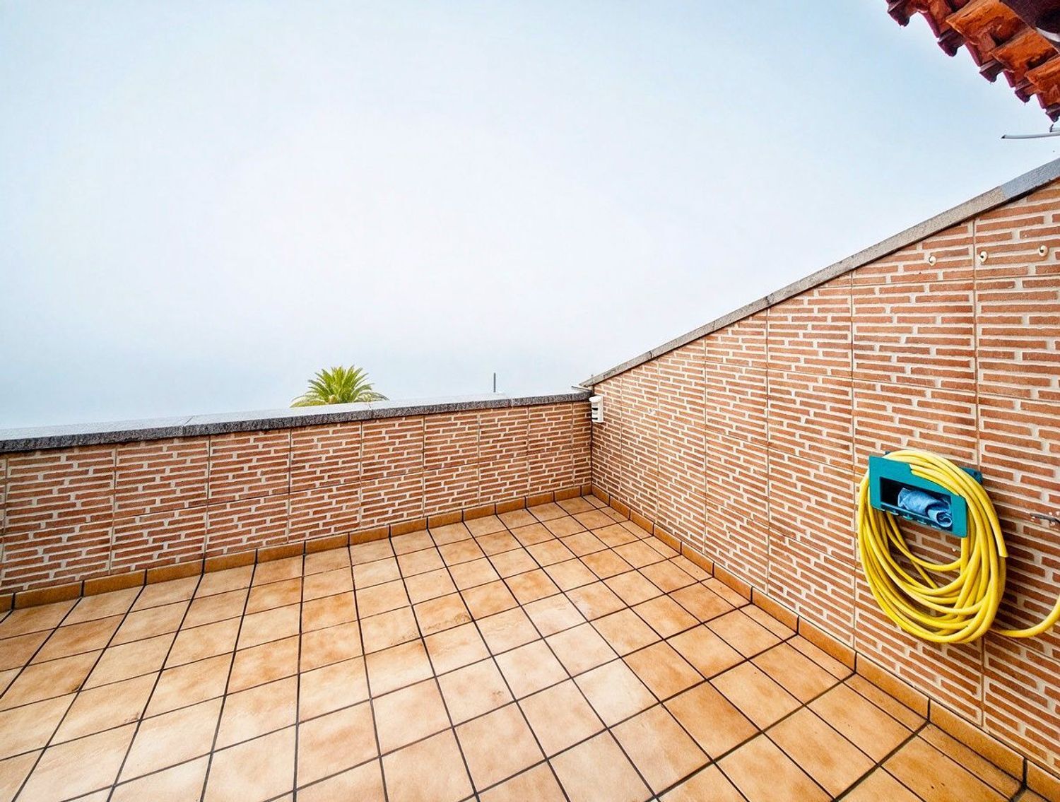 Casas o chalets-Venta-Arucas-2417662-Foto-54