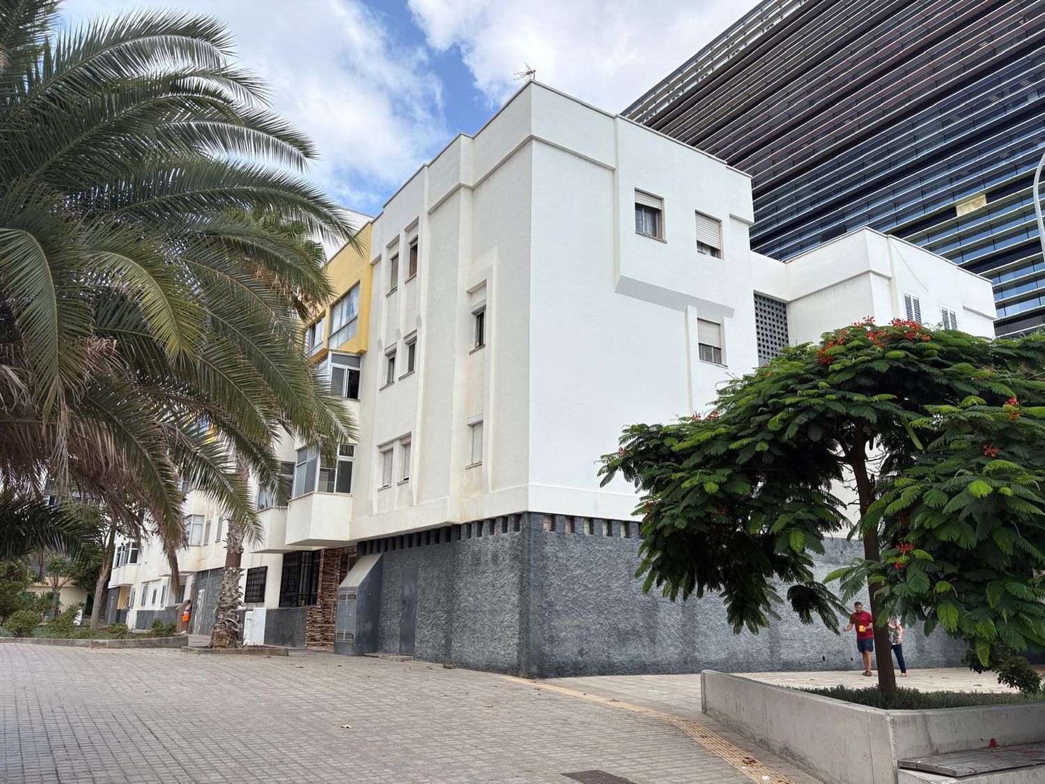 Pisos-Alquiler-Las Palmas de Gran Canaria-2417659