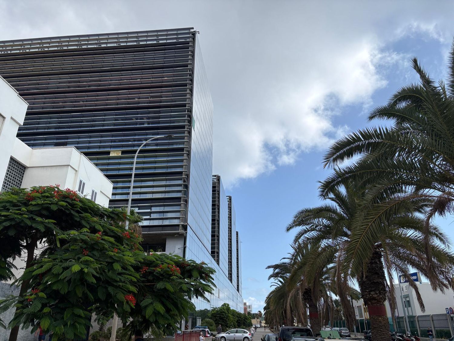 Pisos-Alquiler-Las Palmas de Gran Canaria-2417659-Foto-19