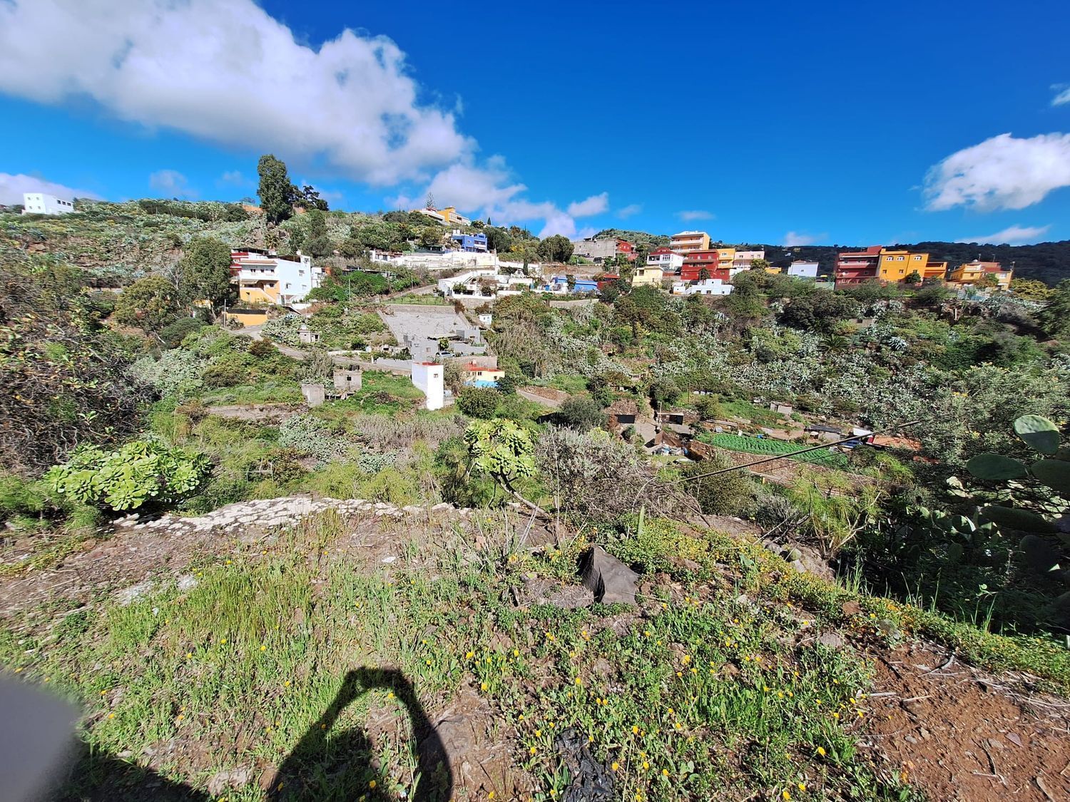 Casas o chalets-Venta-Santa BrÃ­gida-2417635-Foto-2