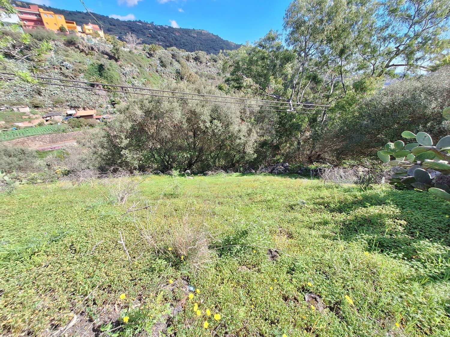 Casas o chalets-Venta-Santa BrÃ­gida-2417635-Foto-4