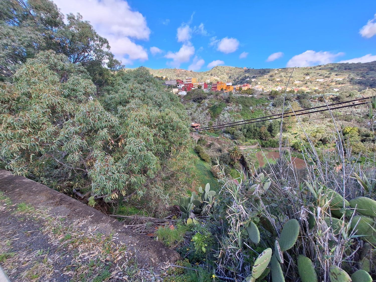 Casas o chalets-Venta-Santa BrÃ­gida-2417635-Foto-8