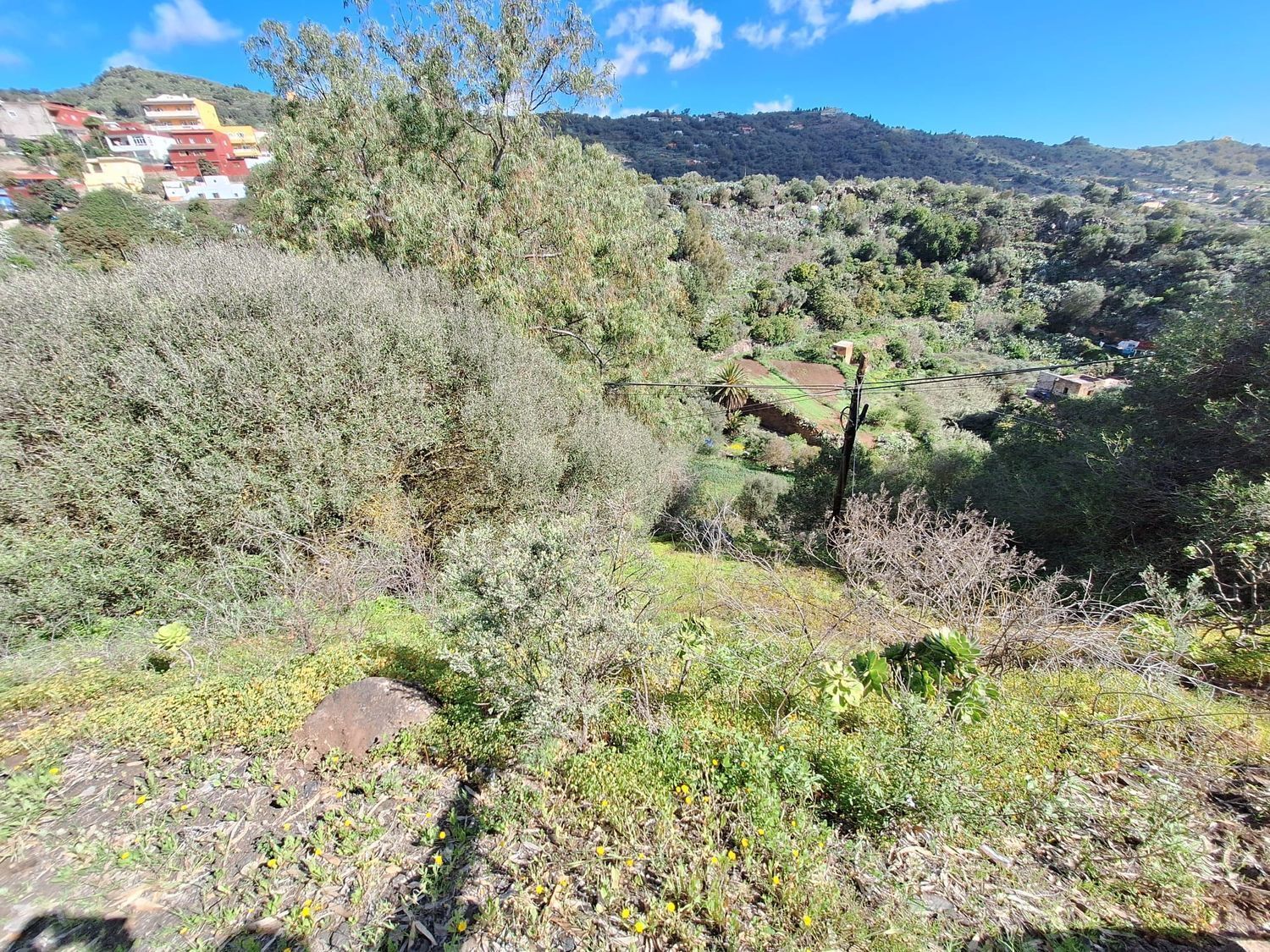 Casas o chalets-Venta-Santa BrÃ­gida-2417635-Foto-6