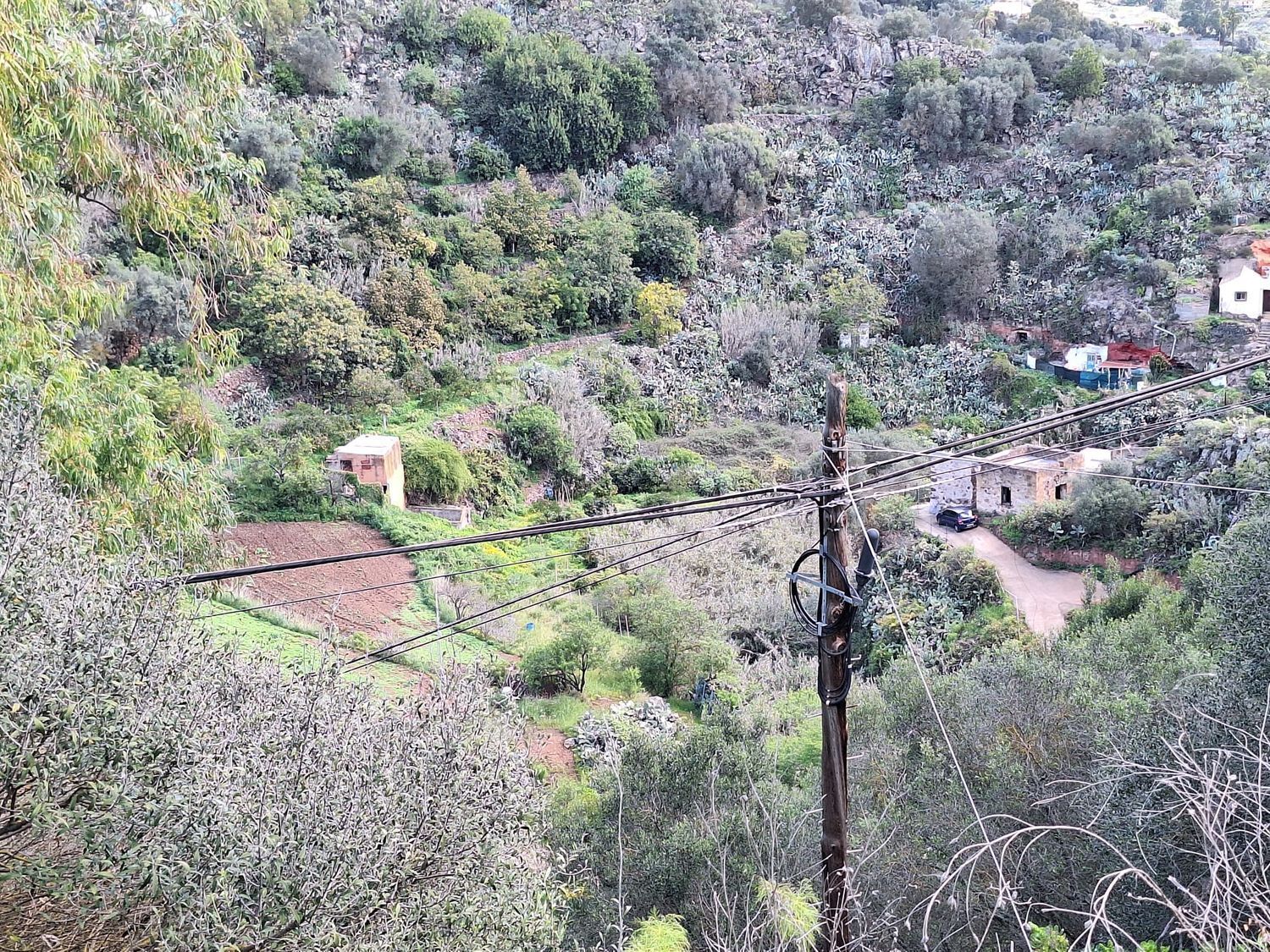 Casas o chalets-Venta-Santa BrÃ­gida-2417635-Foto-11