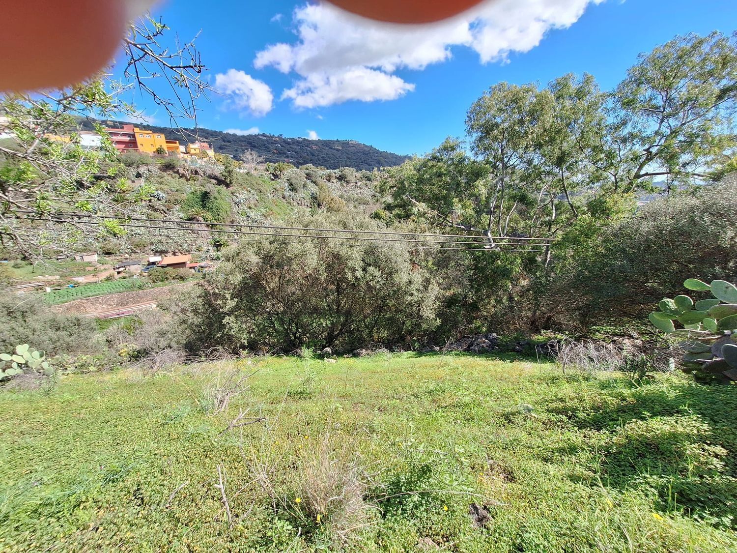 Casas o chalets-Venta-Santa BrÃ­gida-2417635-Foto-10
