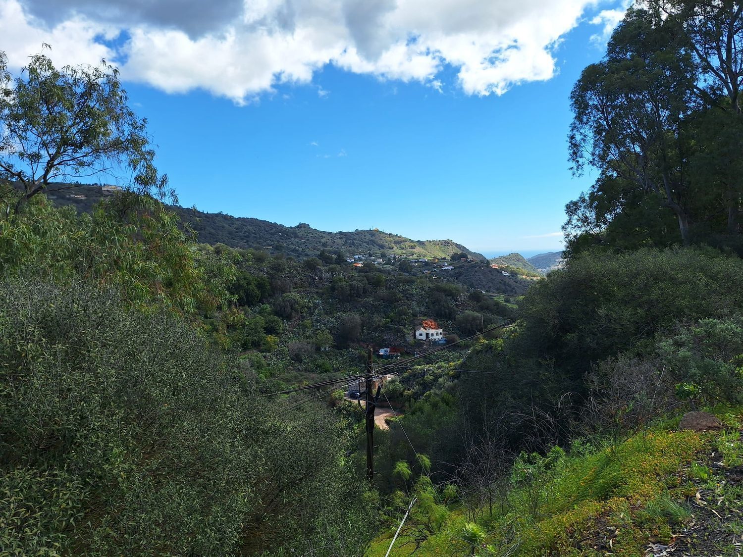 Casas o chalets-Venta-Santa BrÃ­gida-2417635-Foto-14