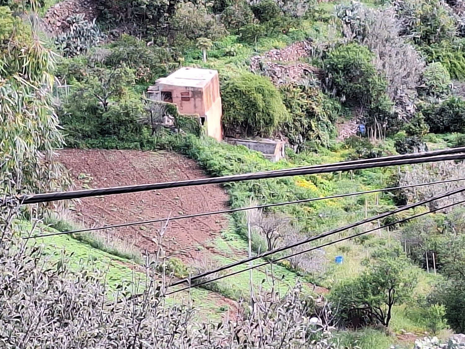 Casas o chalets-Venta-Santa BrÃ­gida-2417635-Foto-12