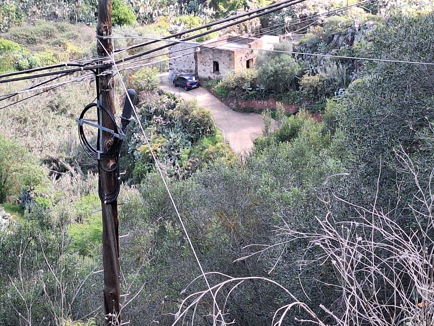 Casas o chalets-Venta-Santa BrÃ­gida-2417635-Foto-15