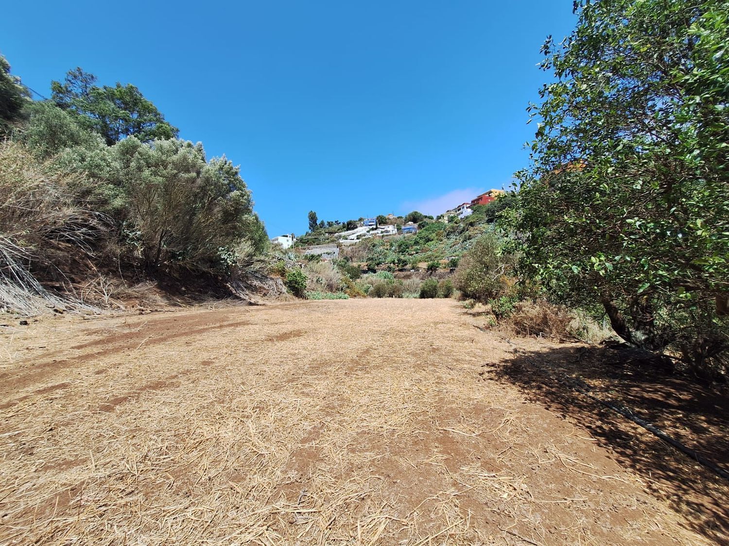 Casas o chalets-Venta-Santa BrÃ­gida-2417635-Foto-18