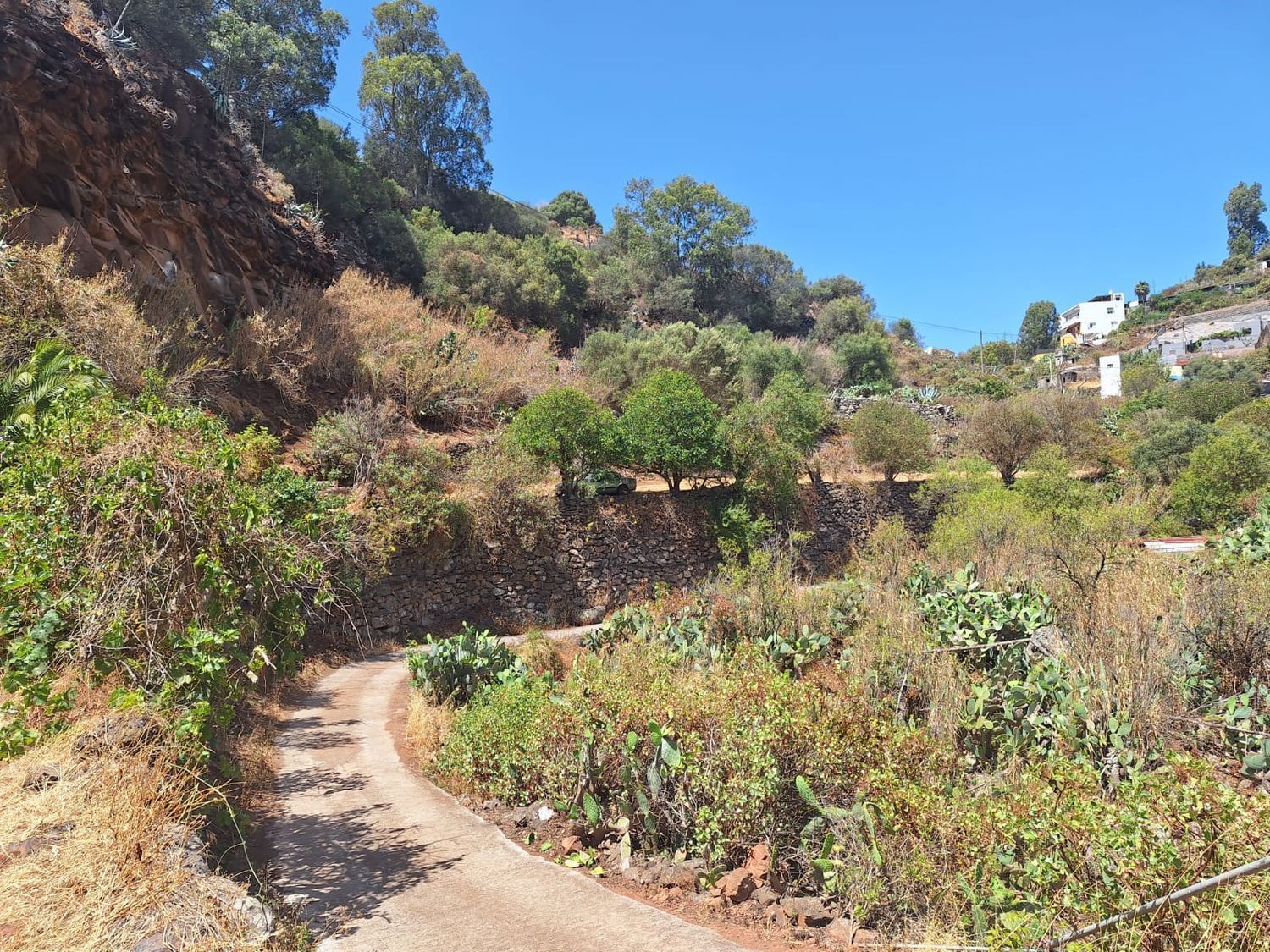 Casas o chalets-Venta-Santa BrÃ­gida-2417635-Foto-24