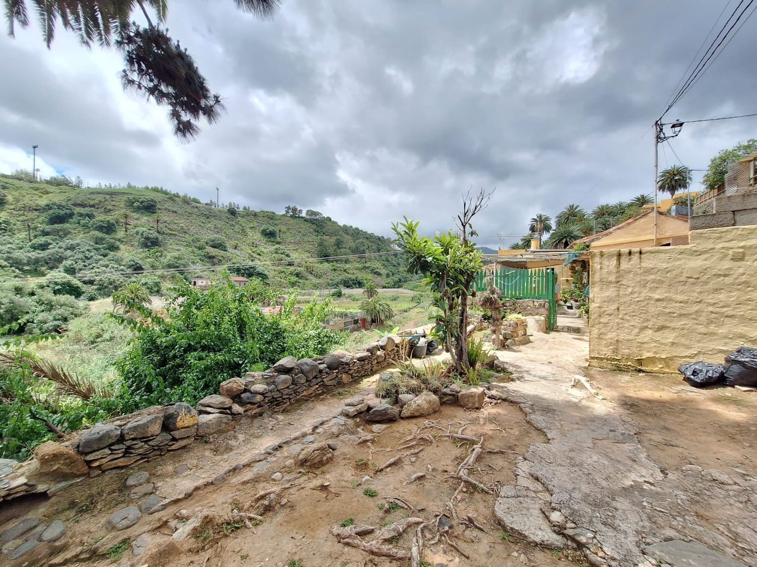 Casas o chalets-Venta-Santa BrÃ­gida-2417632-Foto-20