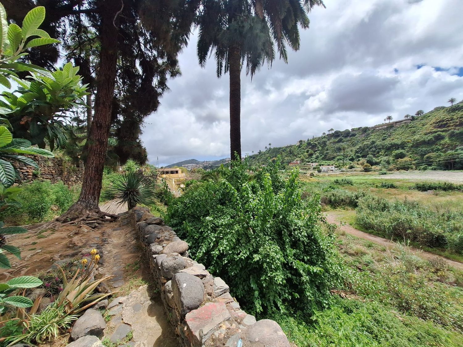 Casas o chalets-Venta-Santa BrÃ­gida-2417632-Foto-19