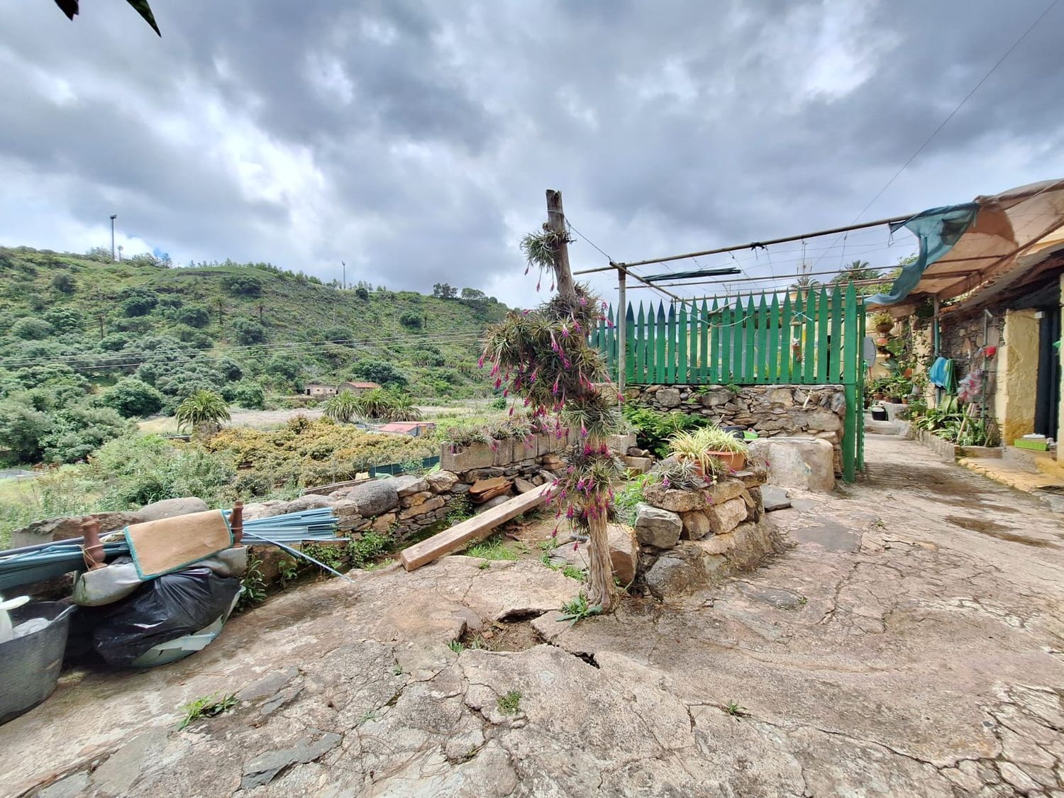 Casas o chalets-Venta-Santa BrÃ­gida-2417632-Foto-21