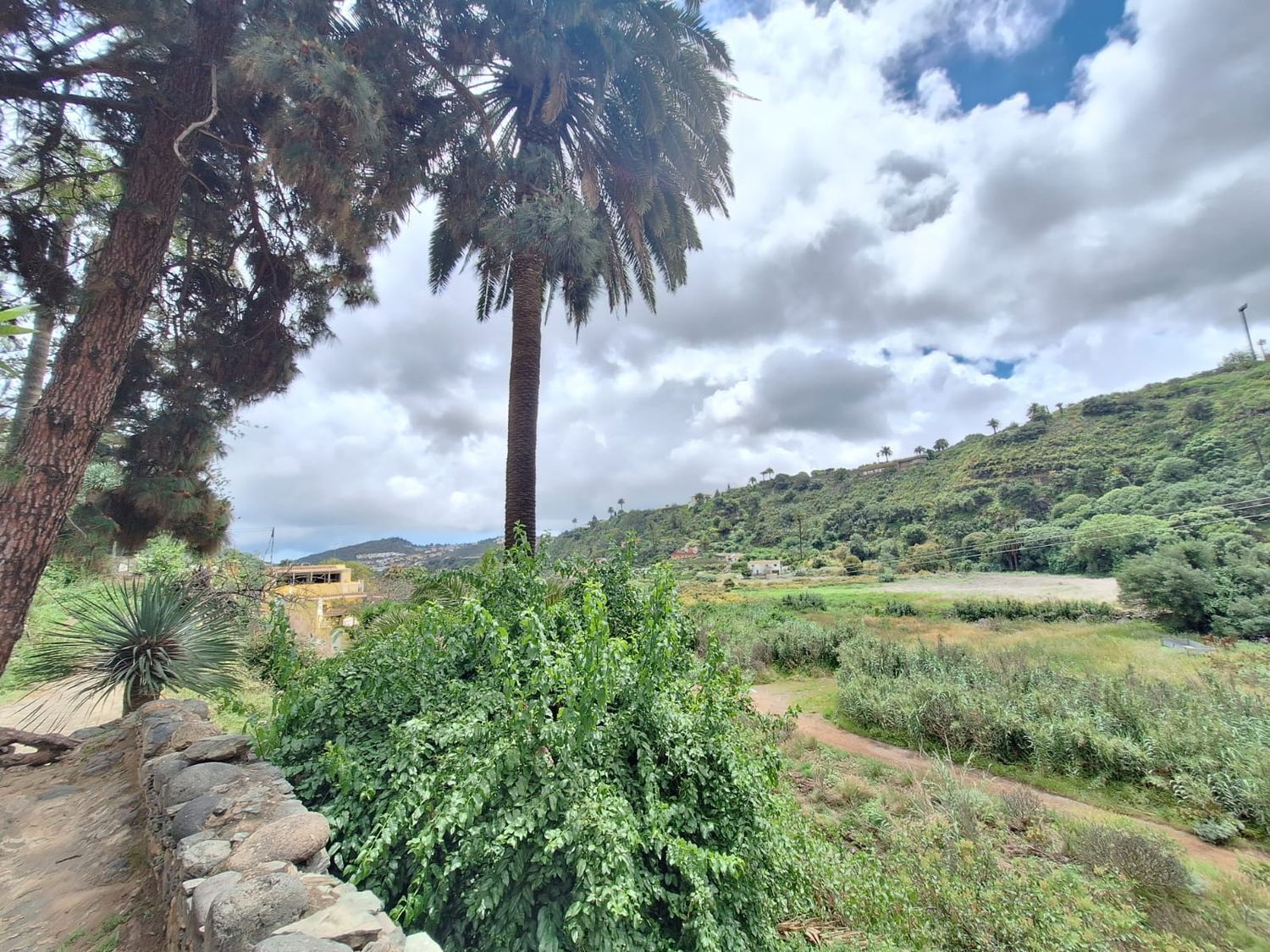Casas o chalets-Venta-Santa BrÃ­gida-2417632-Foto-23