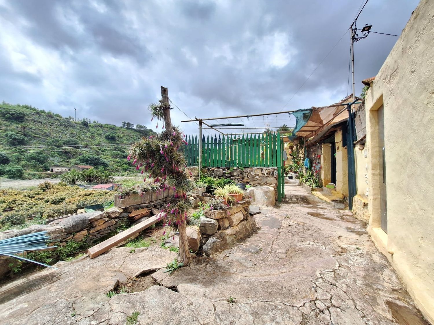 Casas o chalets-Venta-Santa BrÃ­gida-2417632-Foto-24