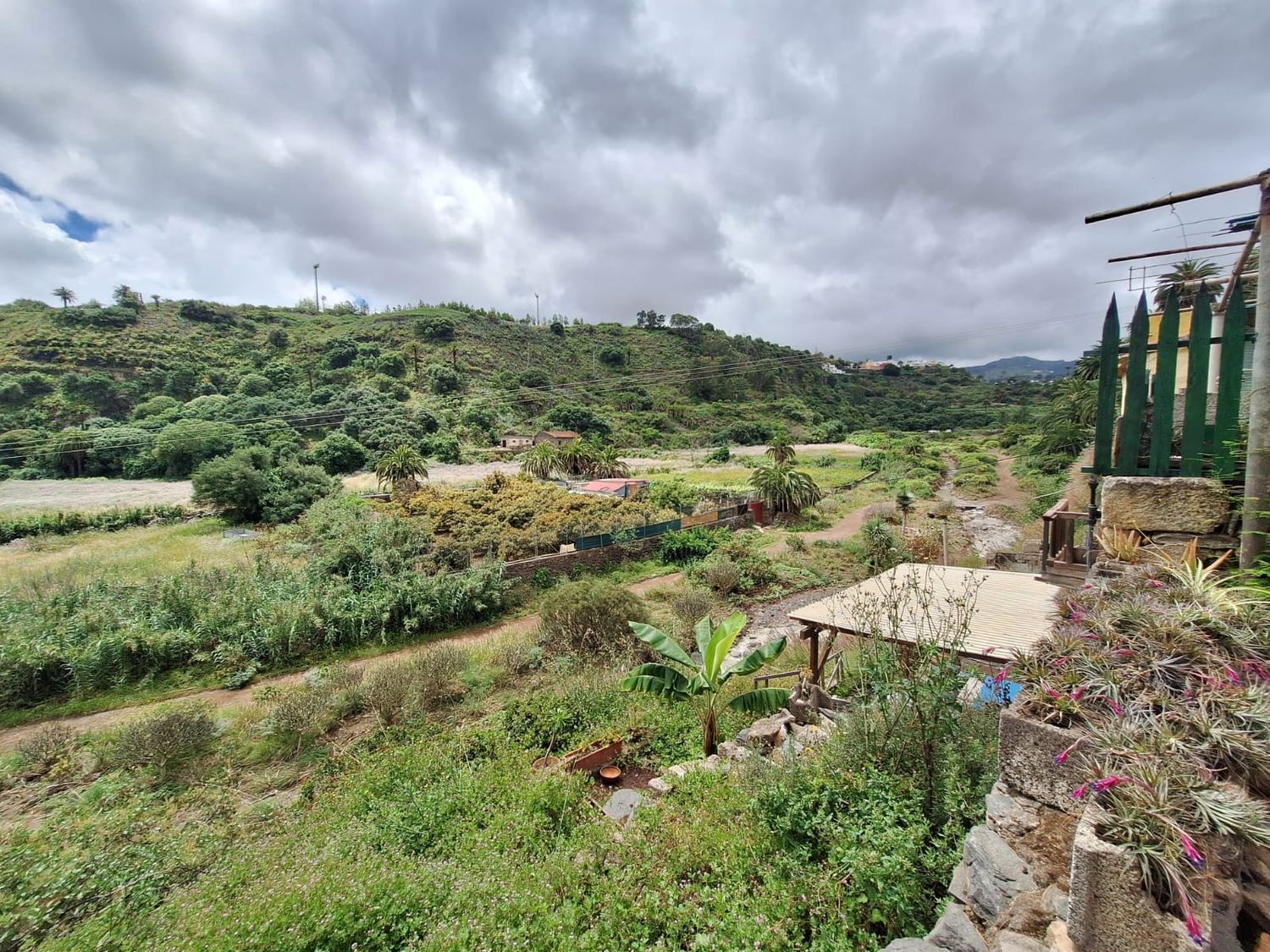 Casas o chalets-Venta-Santa BrÃ­gida-2417632-Foto-25