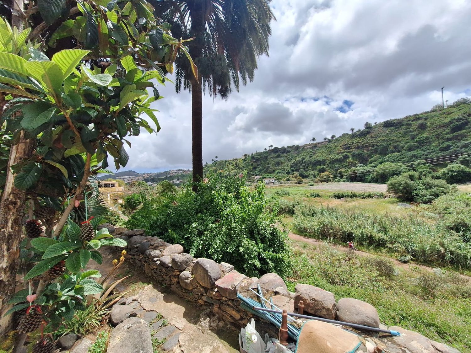 Casas o chalets-Venta-Santa BrÃ­gida-2417632-Foto-26