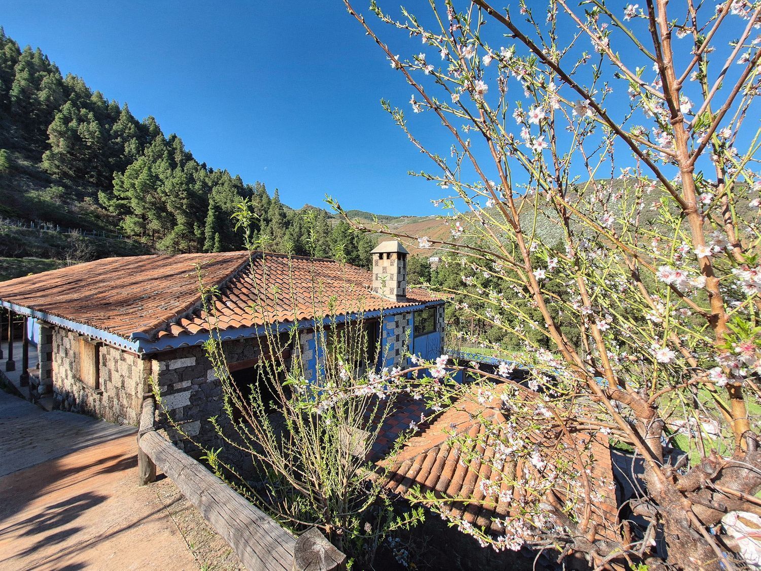 Casas o chalets-Venta-Vega de San Mateo-2417392-Foto-3