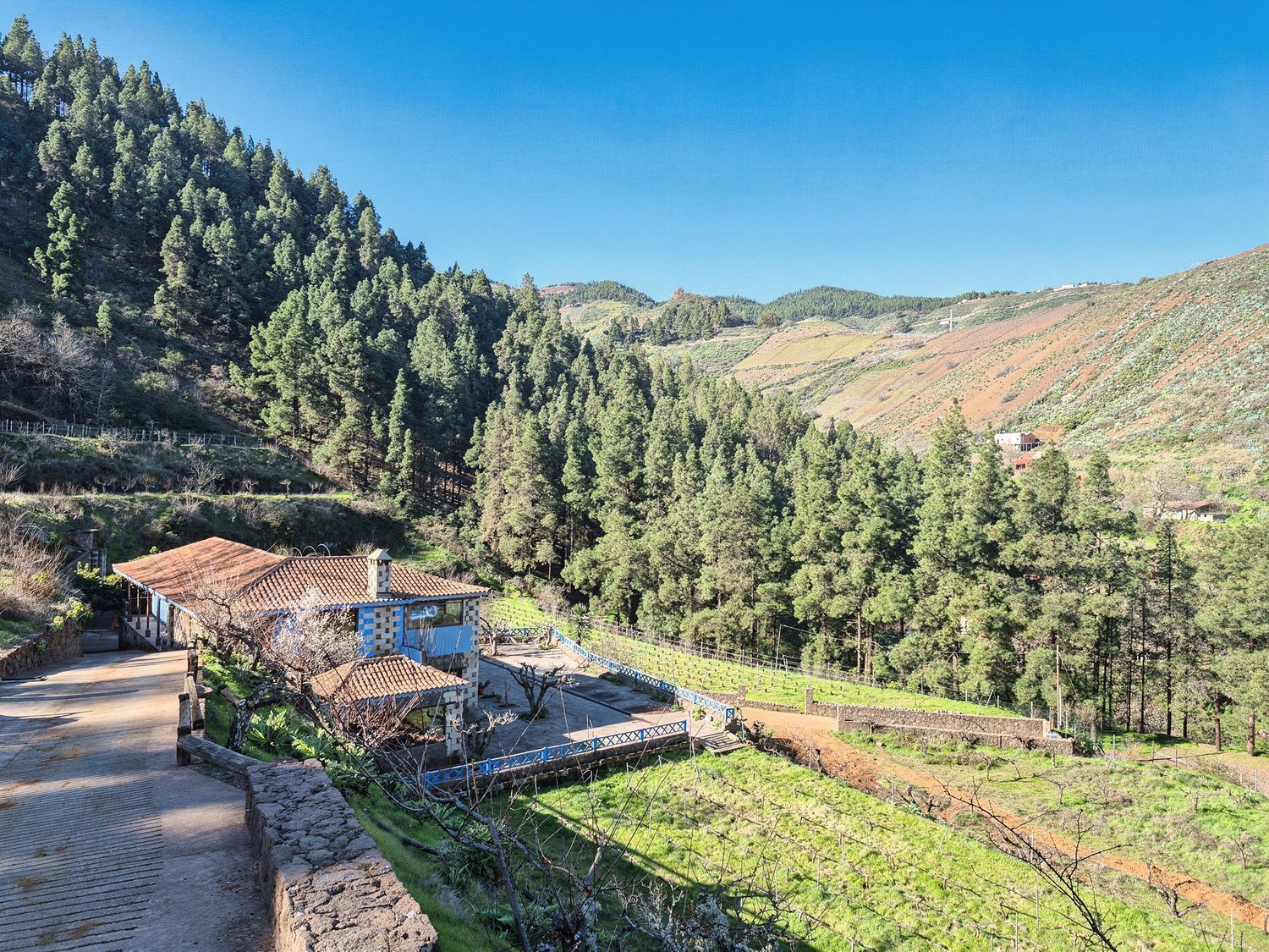 Casas o chalets-Venta-Vega de San Mateo-2417392-Foto-4