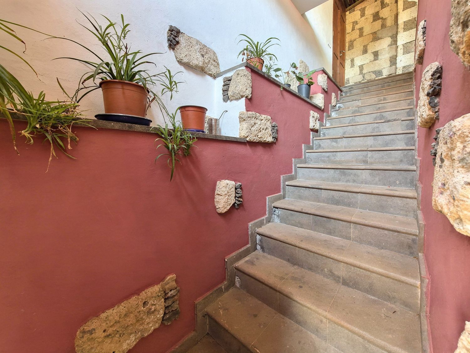 Casas o chalets-Venta-Vega de San Mateo-2417392-Foto-19