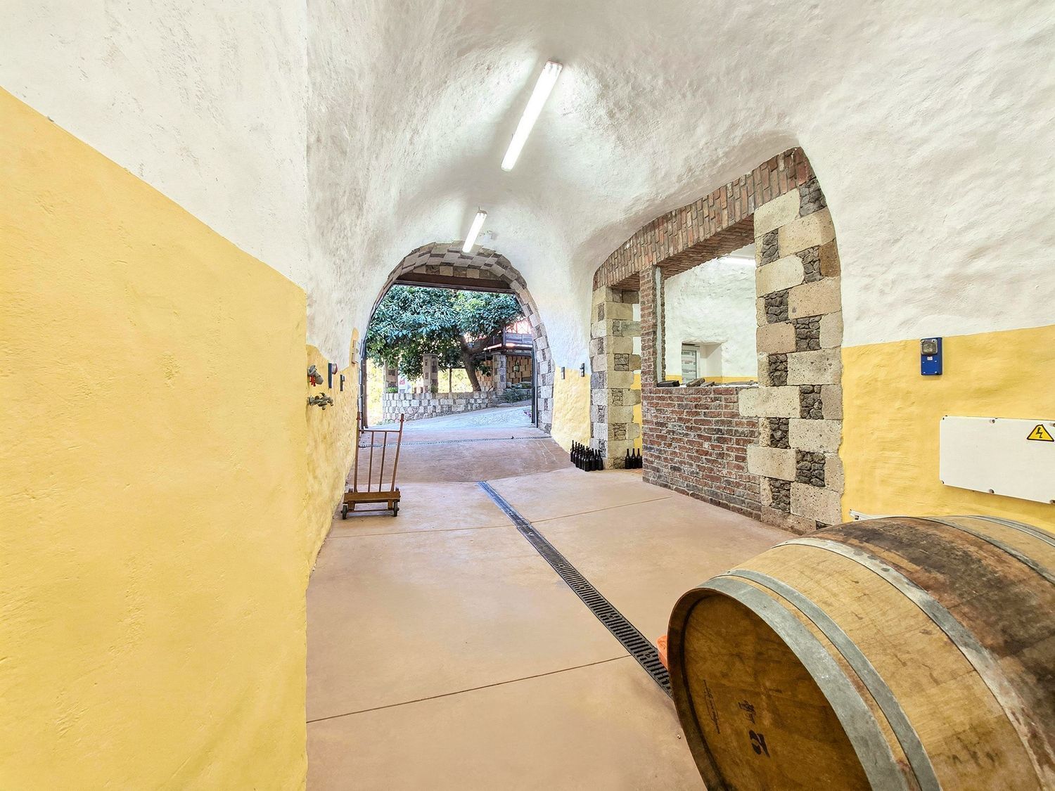 Casas o chalets-Venta-Vega de San Mateo-2417392-Foto-31