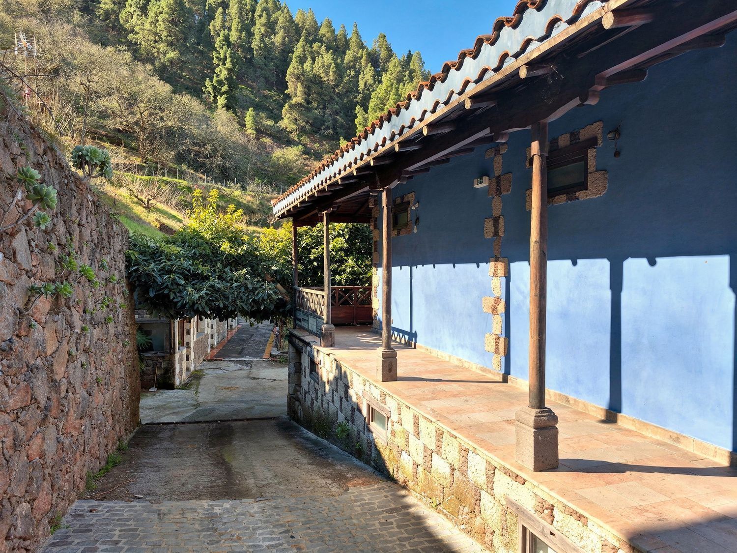 Casas o chalets-Venta-Vega de San Mateo-2417392-Foto-27