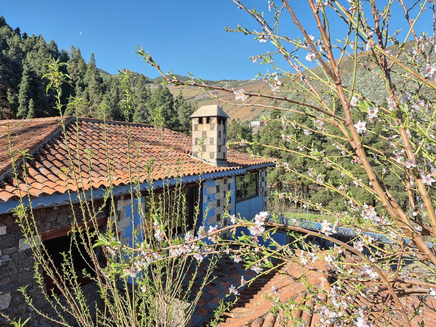 Casas o chalets-Venta-Vega de San Mateo-2417392-Foto-26