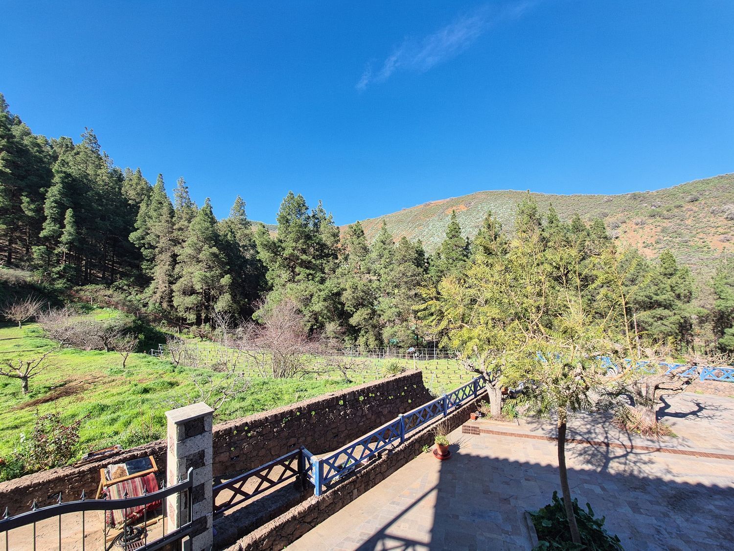 Casas o chalets-Venta-Vega de San Mateo-2417392-Foto-37