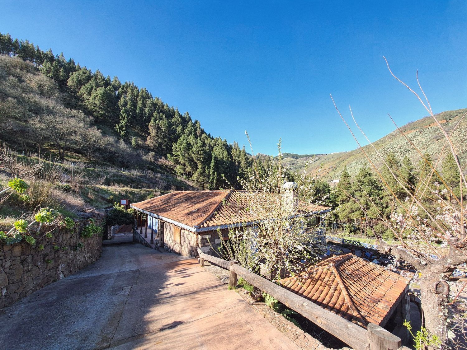 Casas o chalets-Venta-Vega de San Mateo-2417392-Foto-38