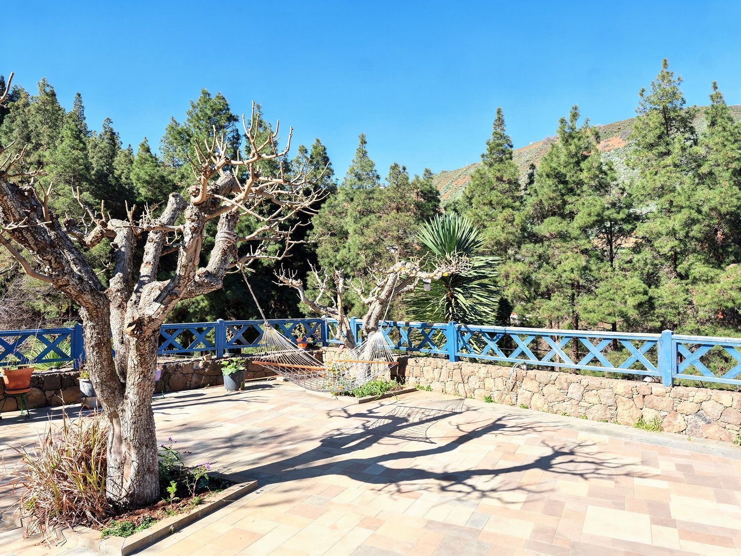Casas o chalets-Venta-Vega de San Mateo-2417392-Foto-44
