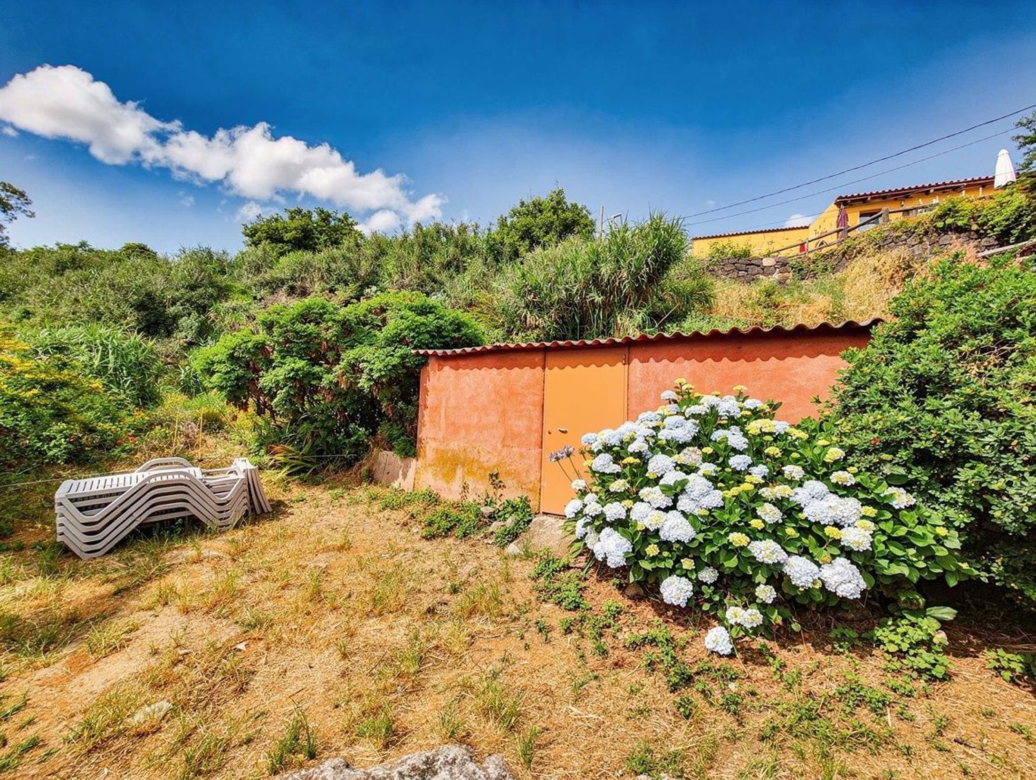 Casas o chalets-Venta-Moya-2417590-Foto-29