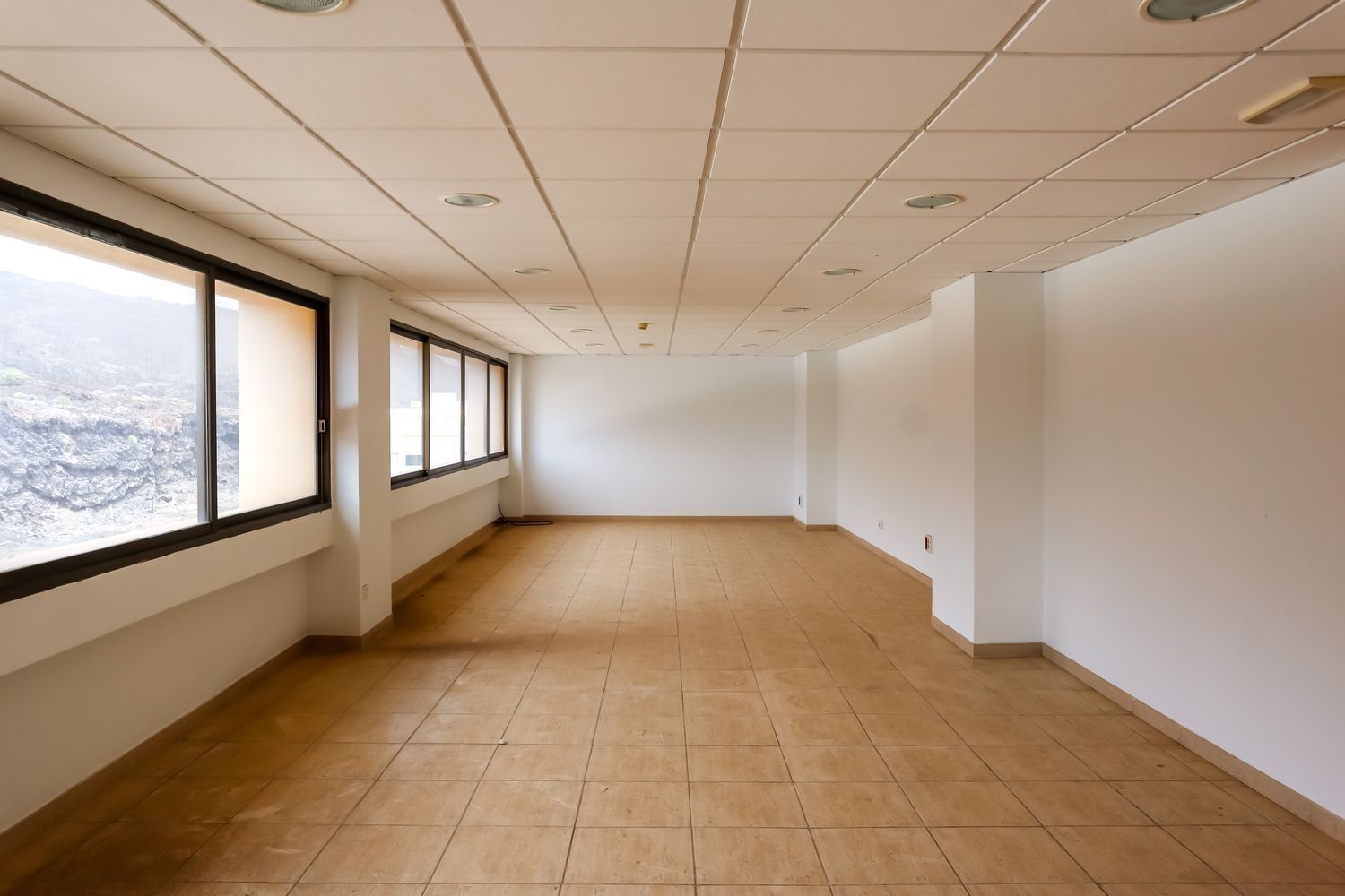 Oficinas-Venta-Las Palmas de Gran Canaria-2417563-Foto-9