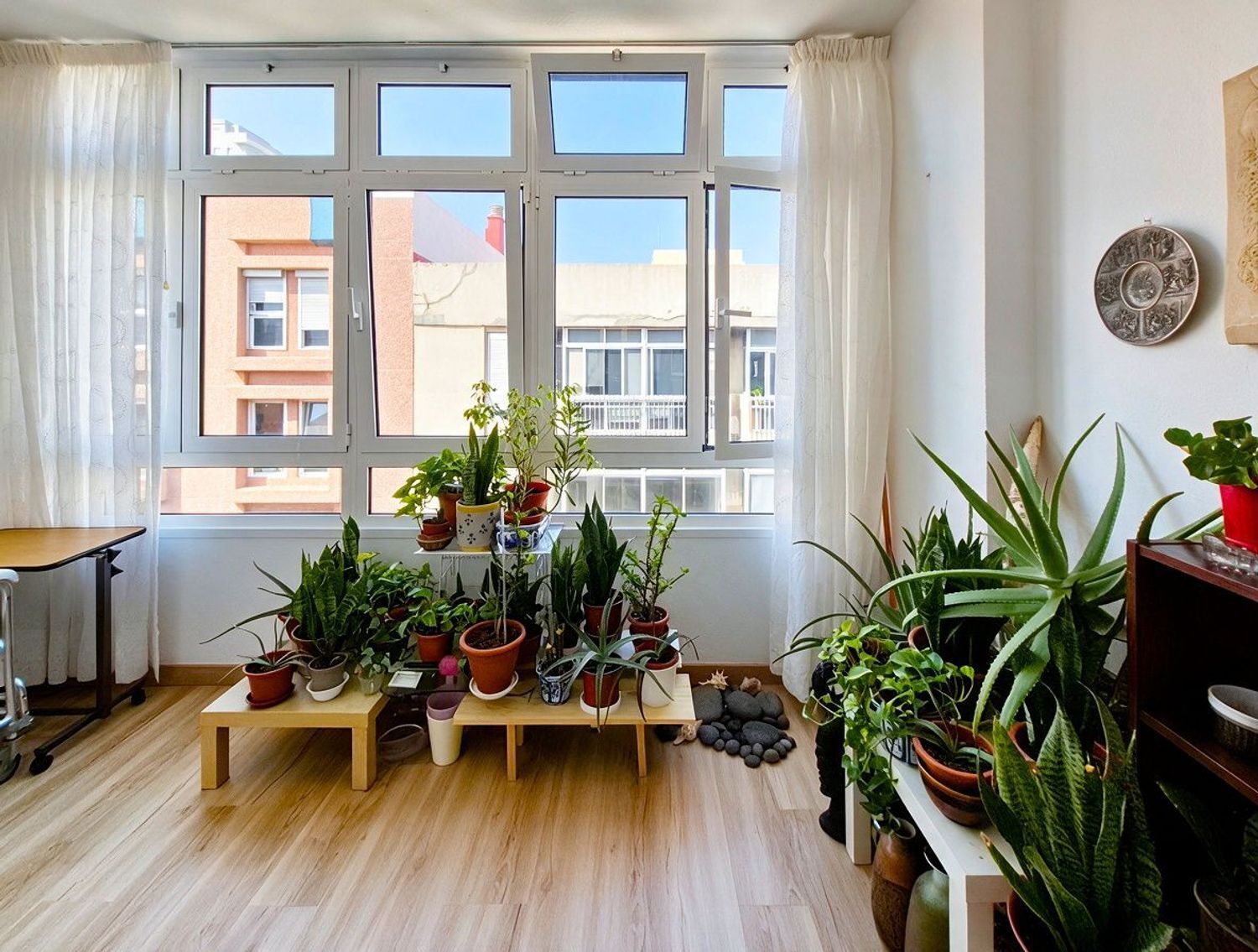 Pisos-Venta-Las Palmas de Gran Canaria-2417554-Foto-8