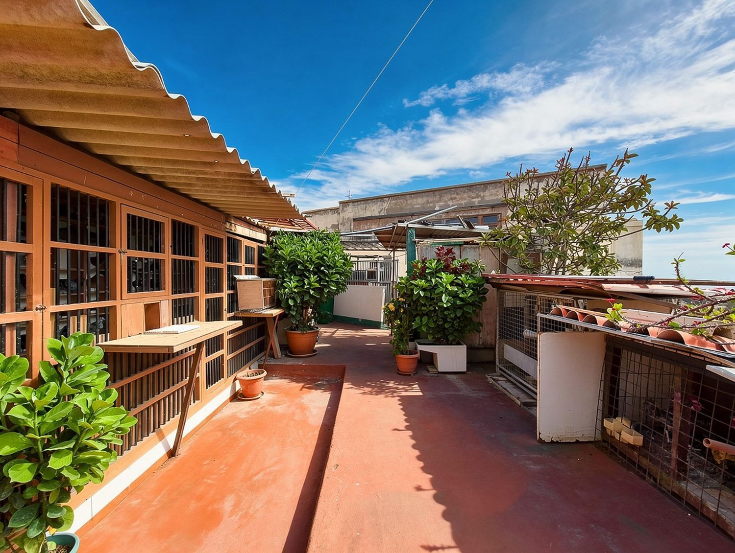 Pisos-Venta-Telde-2417551-Foto-65