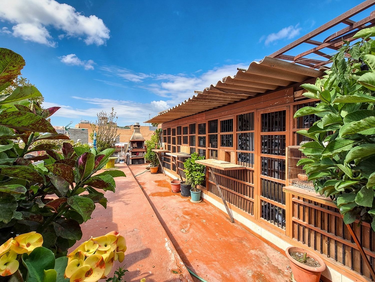 Pisos-Venta-Telde-2417551-Foto-67
