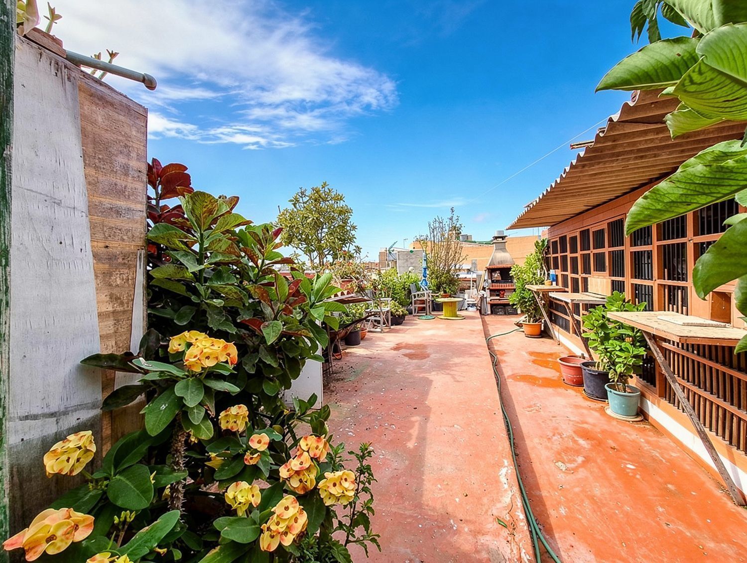 Pisos-Venta-Telde-2417551-Foto-66