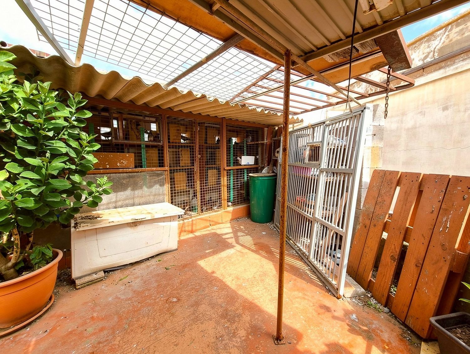 Pisos-Venta-Telde-2417551-Foto-69