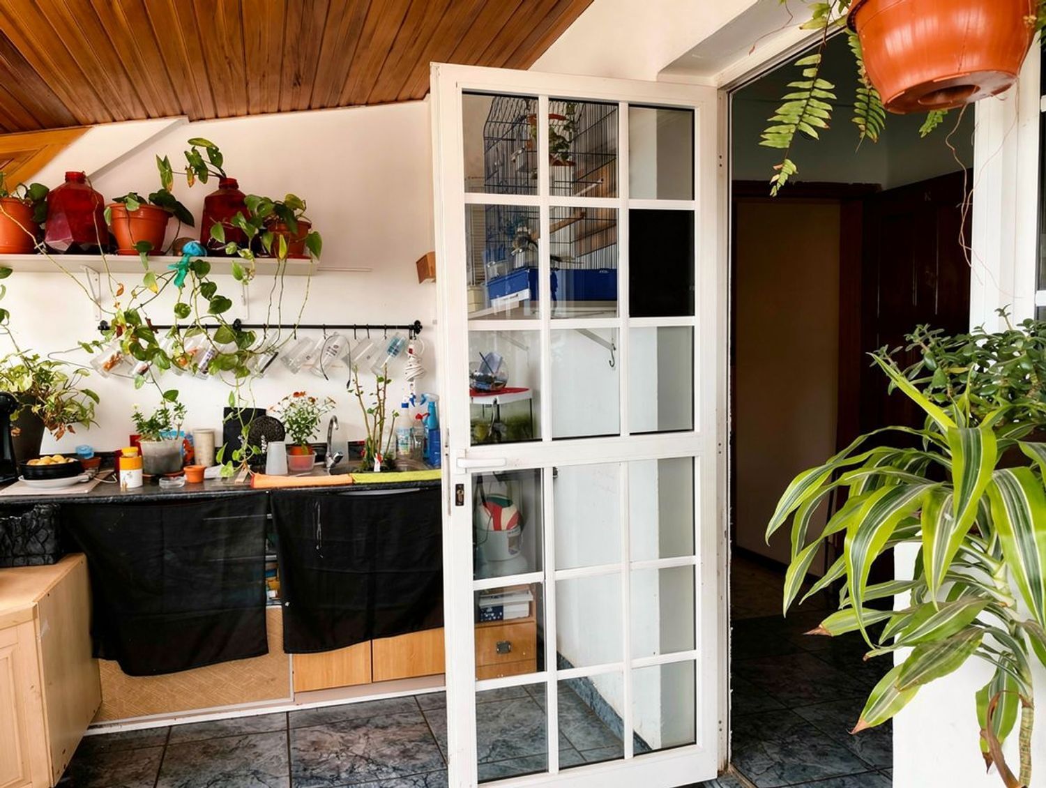 Pisos-Venta-Santa LucÃ­a de Tirajana-2417542-Foto-2