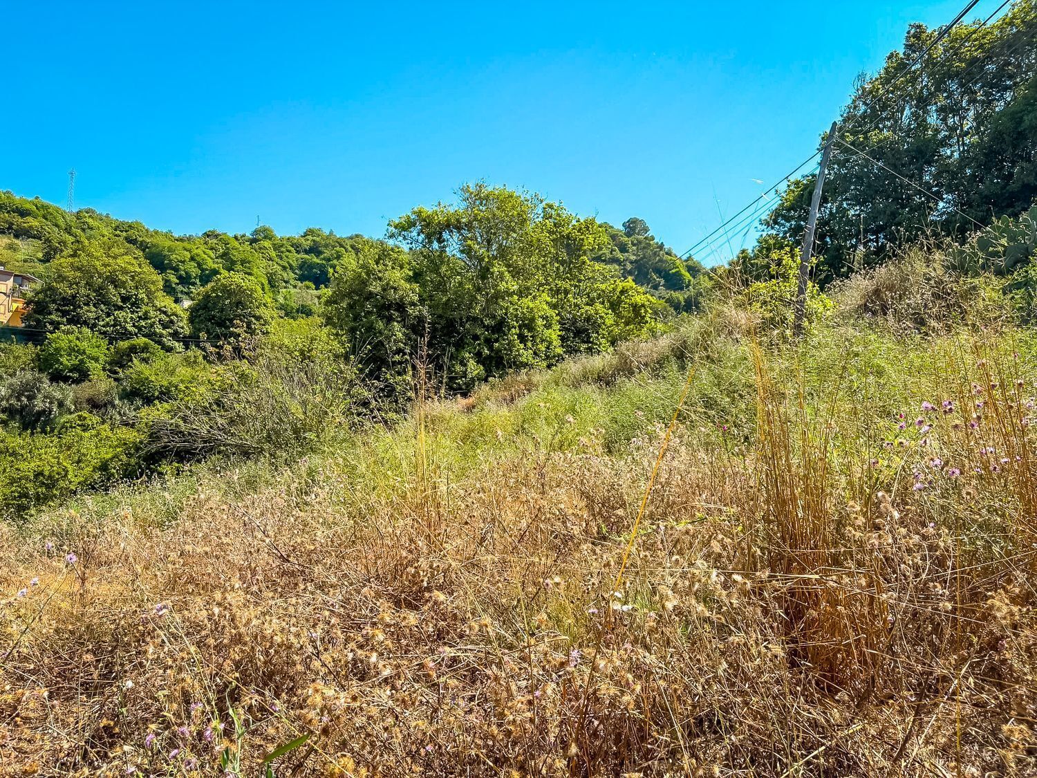 Fincas y solares-Venta-Valleseco-2417536-Foto-9