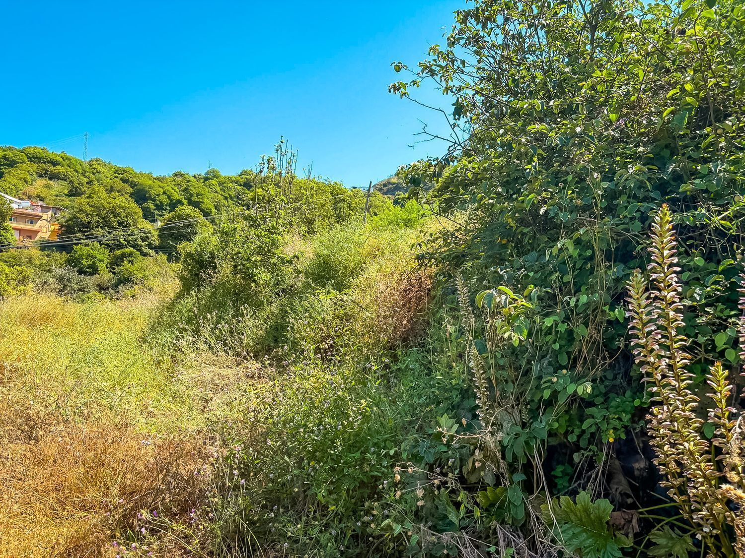 Fincas y solares-Venta-Valleseco-2417536-Foto-11