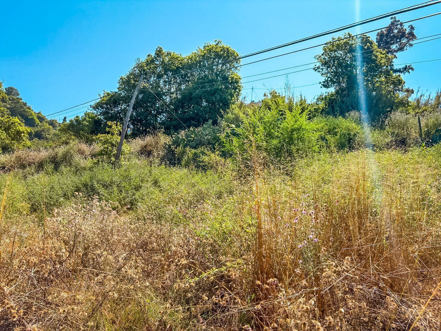 Fincas y solares-Venta-Valleseco-2417536-Foto-13
