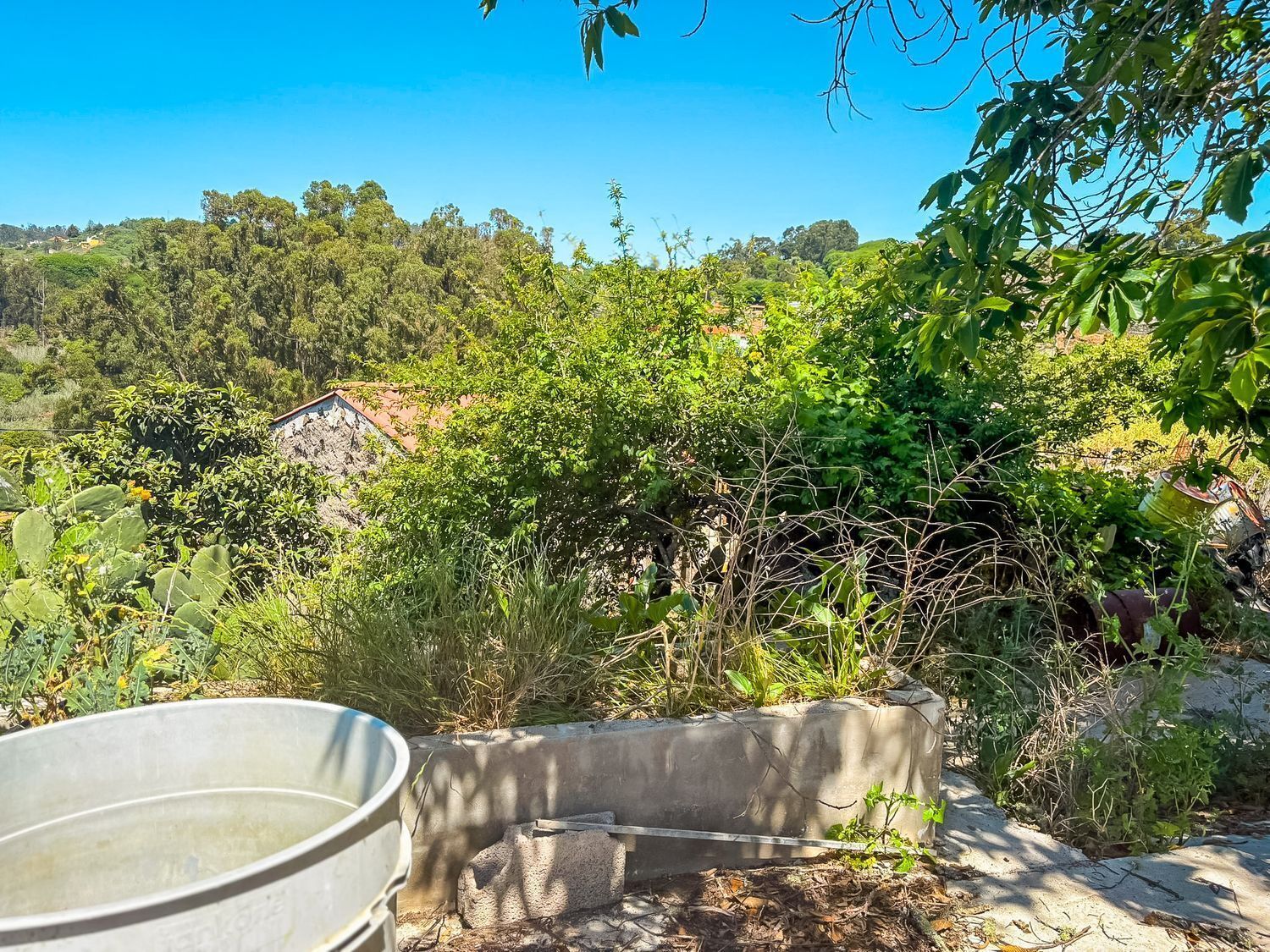 Fincas y solares-Venta-Valleseco-2417536-Foto-16