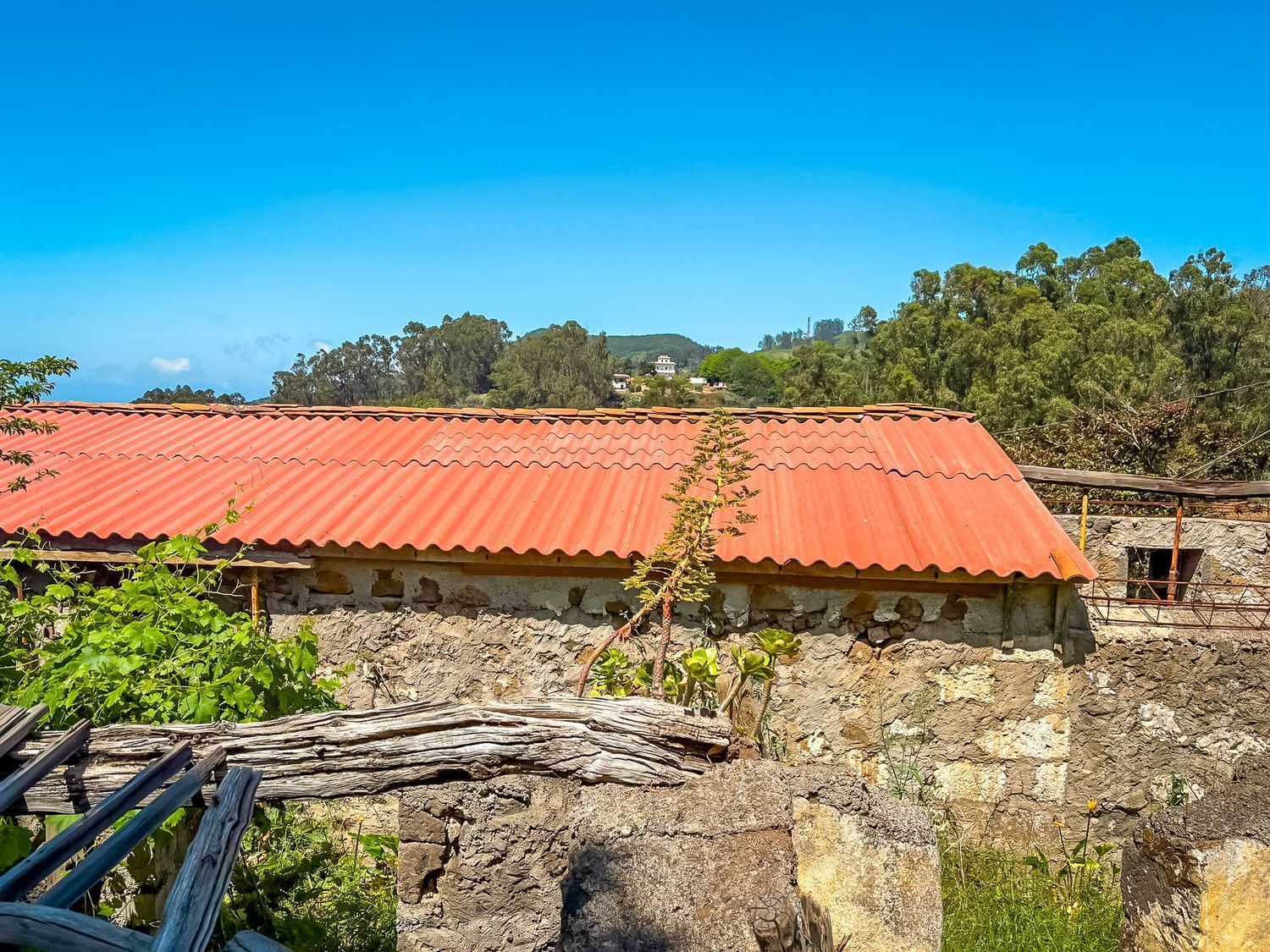 Fincas y solares-Venta-Valleseco-2417536-Foto-26