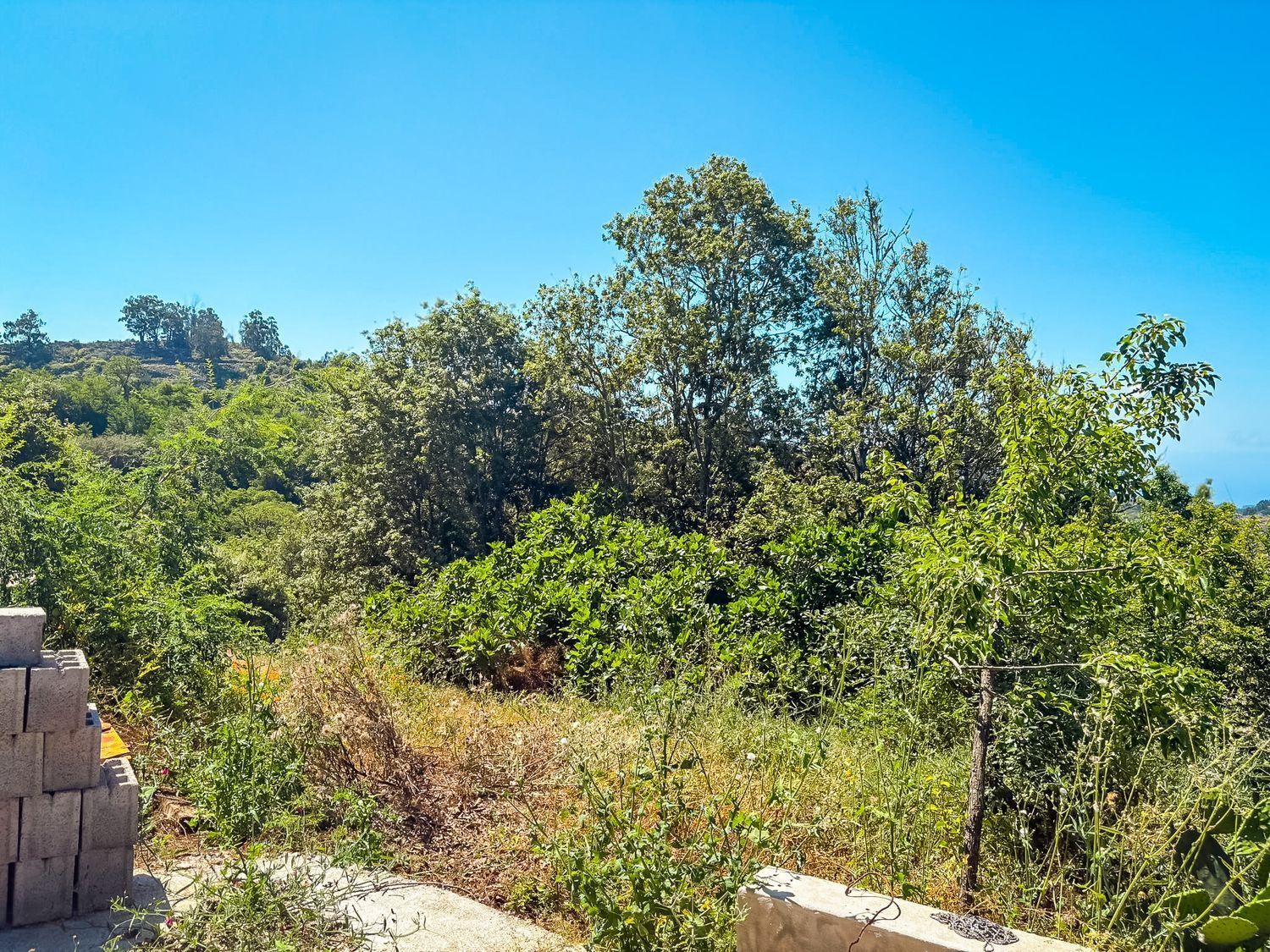 Fincas y solares-Venta-Valleseco-2417536-Foto-27