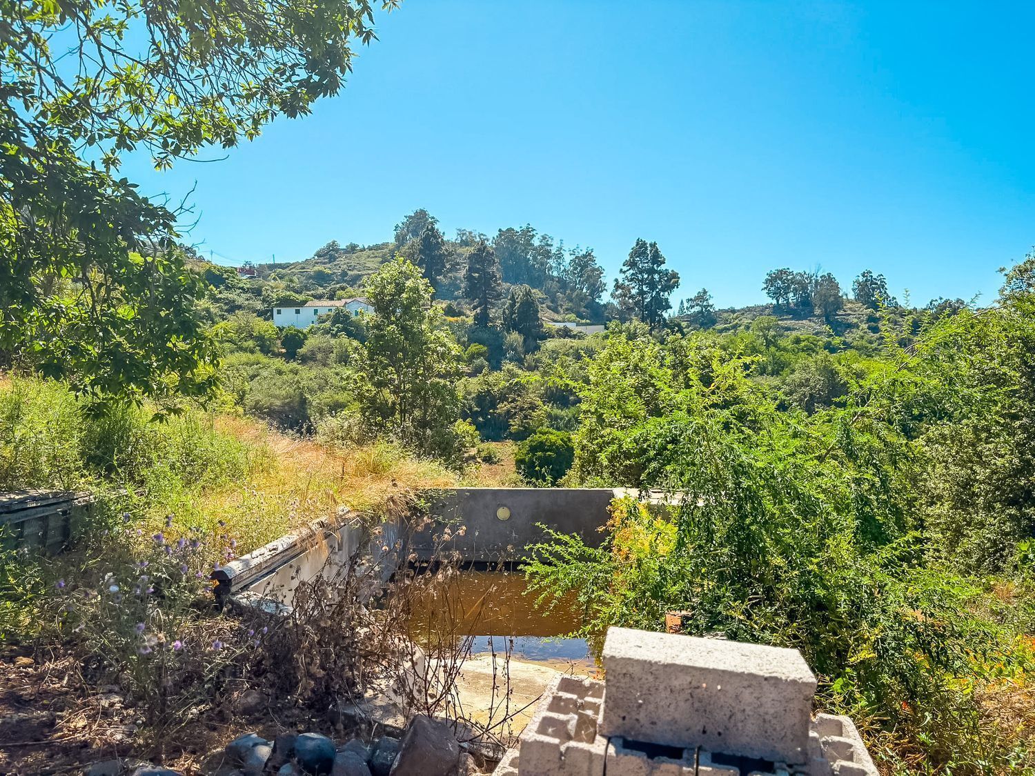 Fincas y solares-Venta-Valleseco-2417536-Foto-28