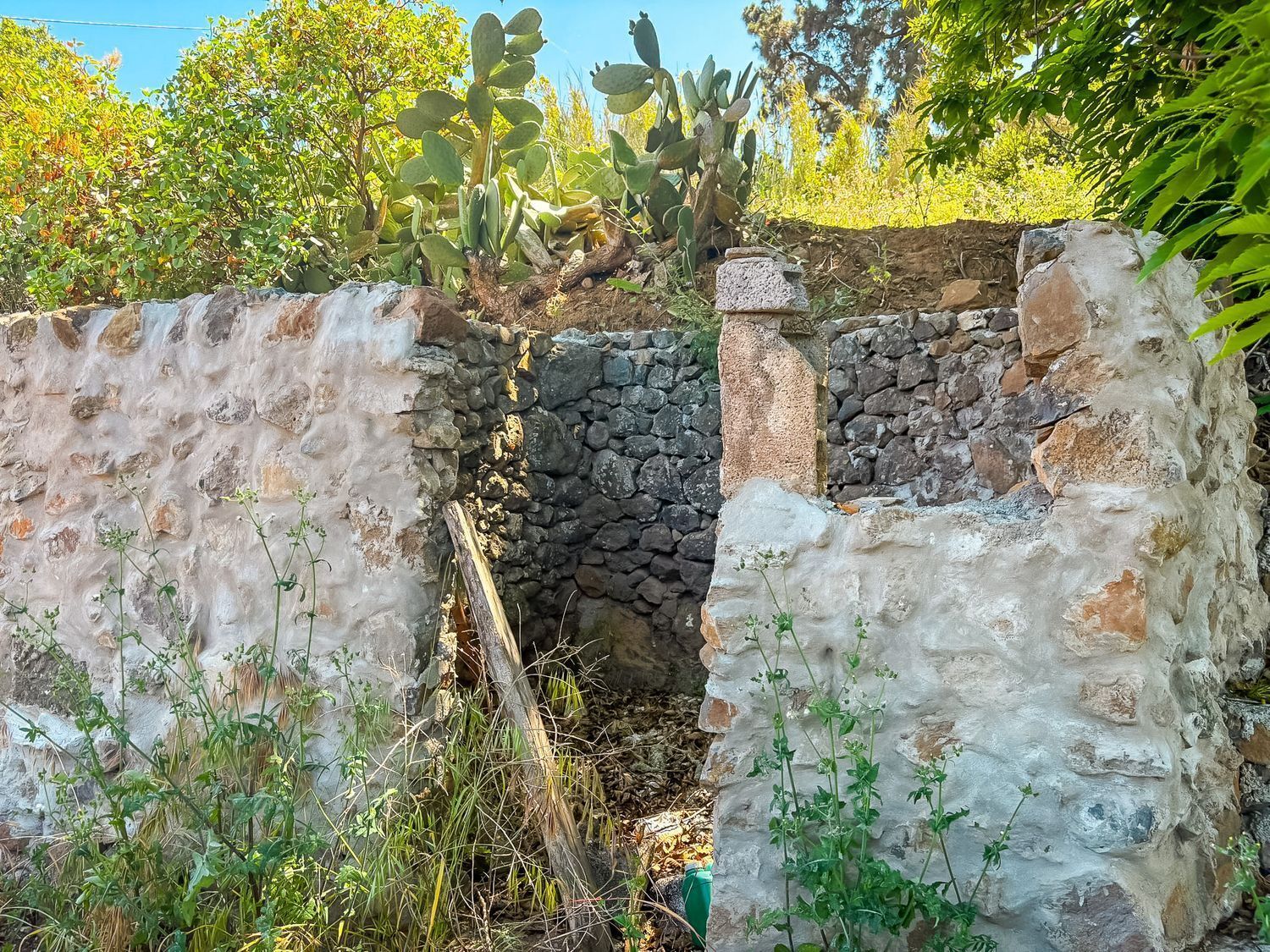 Fincas y solares-Venta-Valleseco-2417536-Foto-25