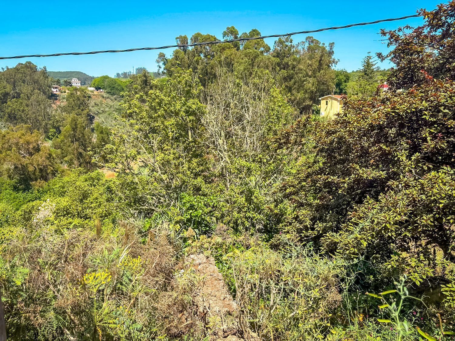 Fincas y solares-Venta-Valleseco-2417536-Foto-41